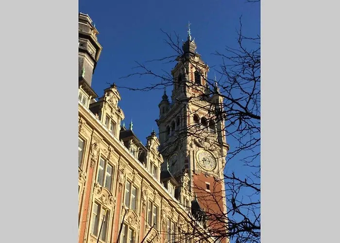 Appartement grande chaussée Lille
