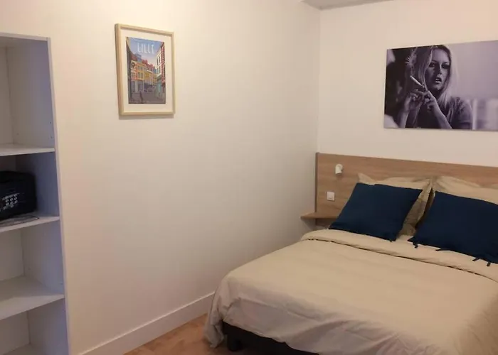Appartement grande chaussée Lille